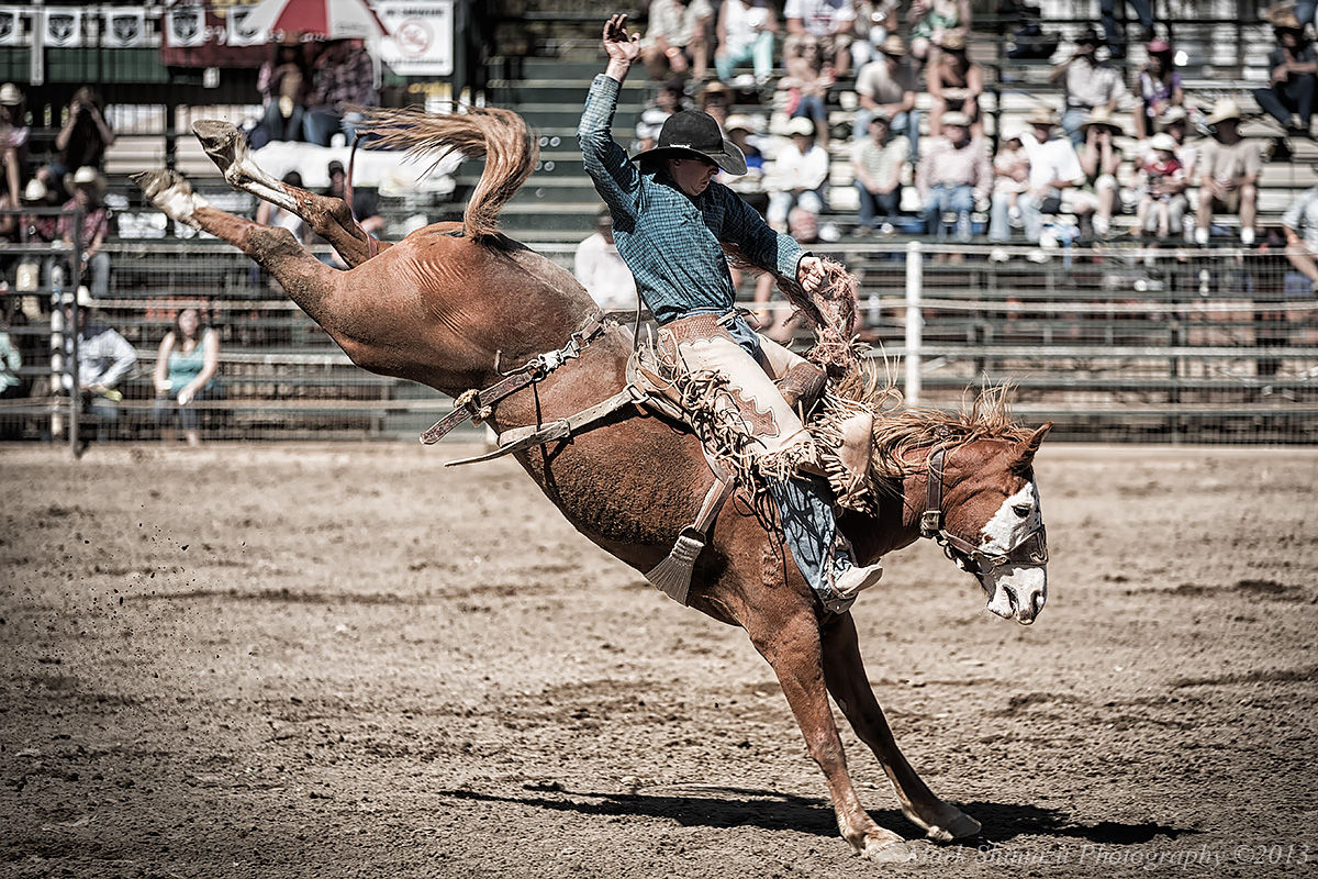 Home 2 – Busch Rodeo